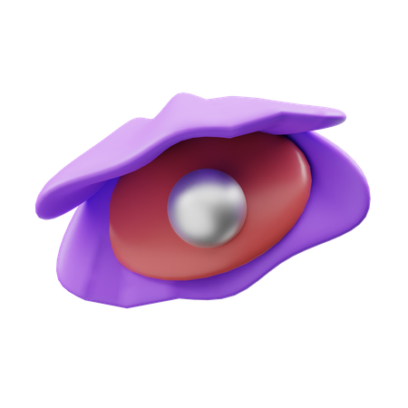 Coquillage  3D Icon