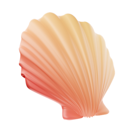 Coquillage  3D Icon