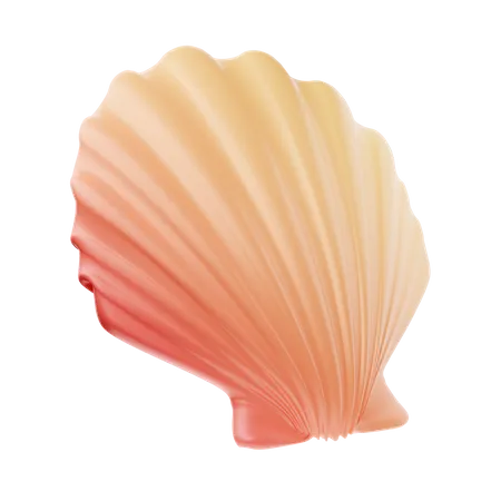 Coquillage  3D Icon