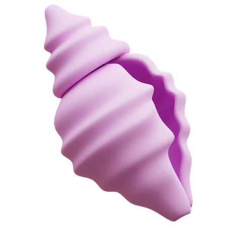 Coquille  3D Icon