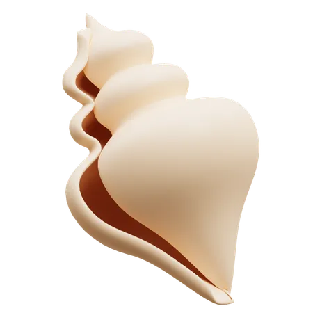 Coquille  3D Icon