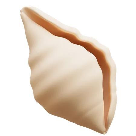 Coquille  3D Icon