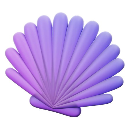Coquille  3D Icon