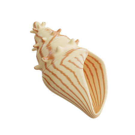 Coquille  3D Icon