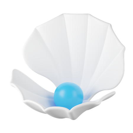 Coquille  3D Icon