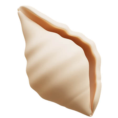 Coquille  3D Icon