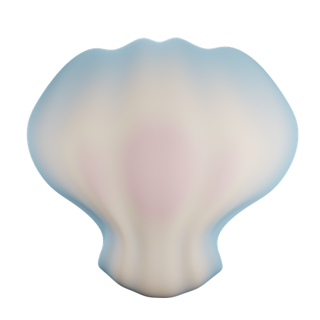 Coquille  3D Illustration