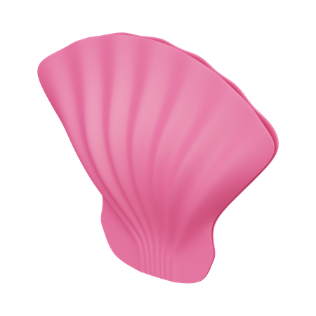Coquille  3D Icon