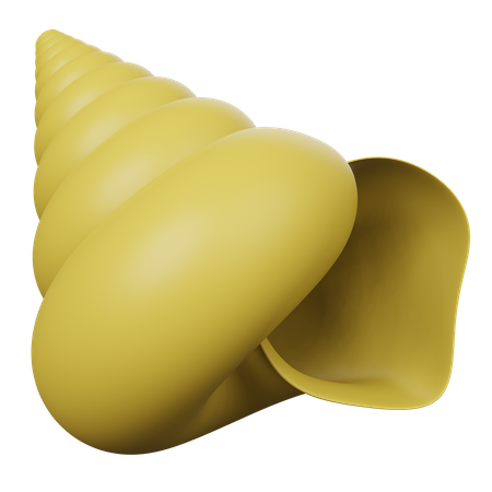 Coquille  3D Icon