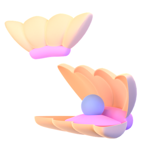 Coquille  3D Icon