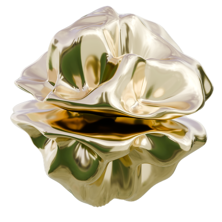 Coquille d'huître perlière avec reflet, forme abstraite  3D Icon