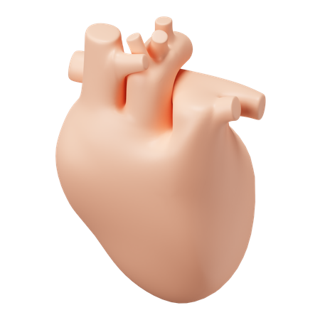Coração  3D Illustration