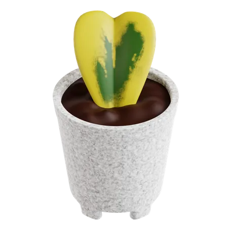 Planta de soja coração  3D Icon