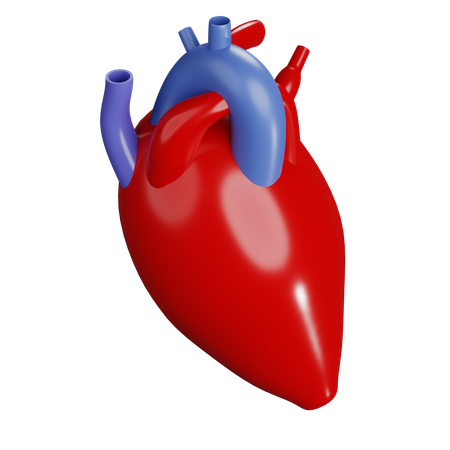 Coração humano  3D Icon