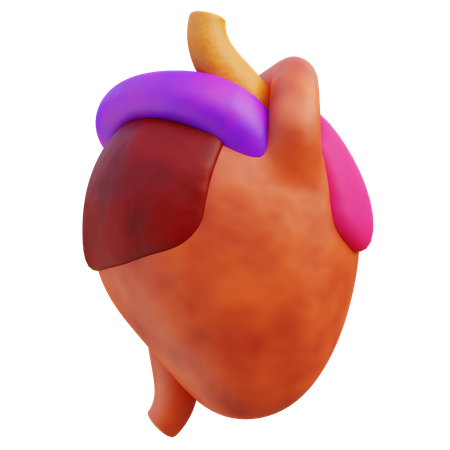 Coração humano  3D Icon