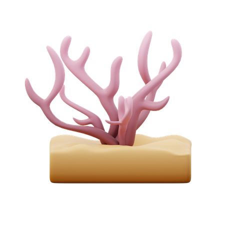 Corail  3D Icon