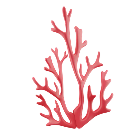 Corail  3D Icon