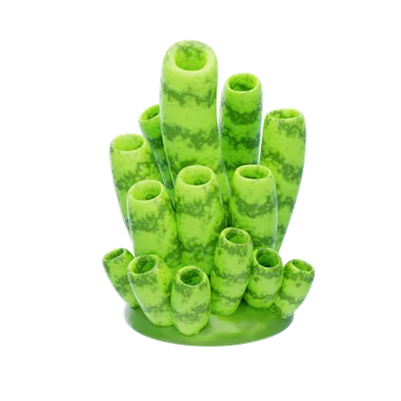 Corail tube vert  3D Icon