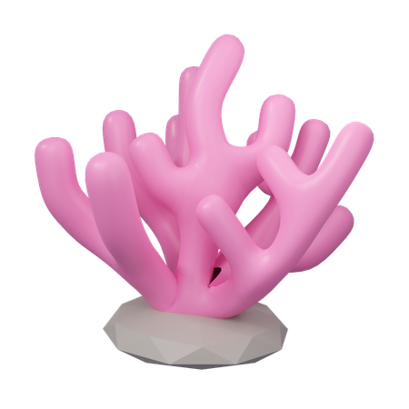 Coral  3D Icon