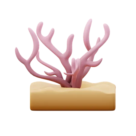 Coral  3D Icon