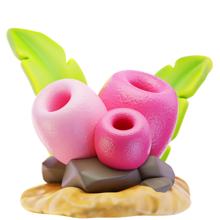 Coral  3D Icon