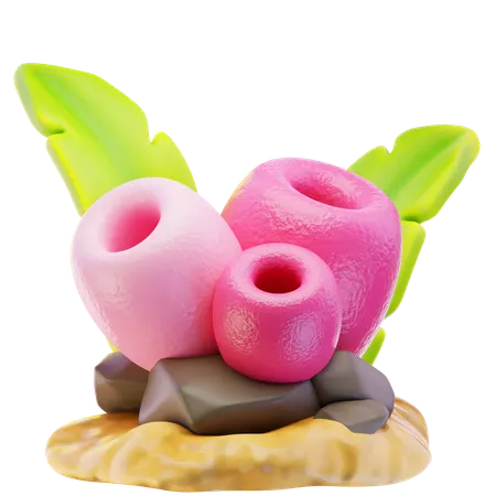 Coral  3D Icon