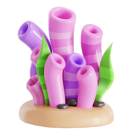 Coral  3D Icon