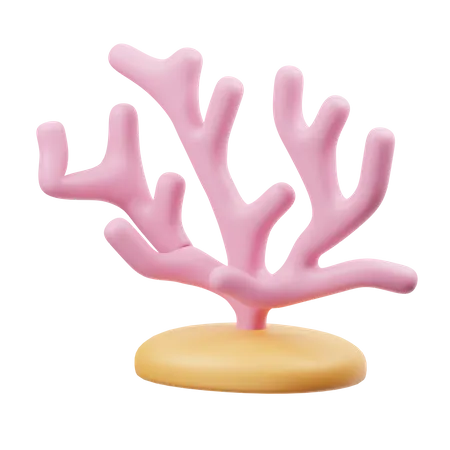 Coral  3D Icon