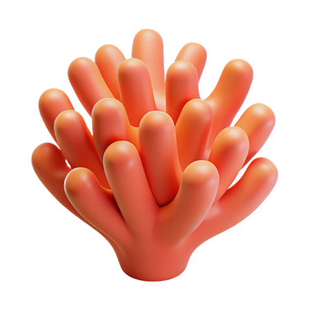 Coral  3D Icon