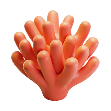 Coral  3D Icon