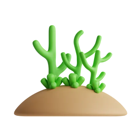 Coral  3D Icon