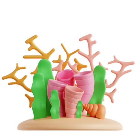 Coral  3D Icon