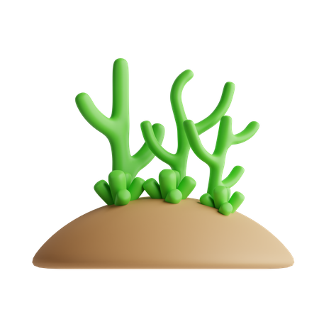 Coral  3D Icon