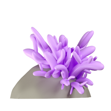 Coral reef  3D Icon