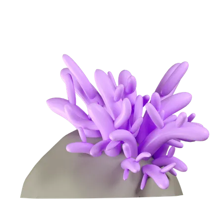 Coral Reef Illustration In 3 D Design 3D Icon