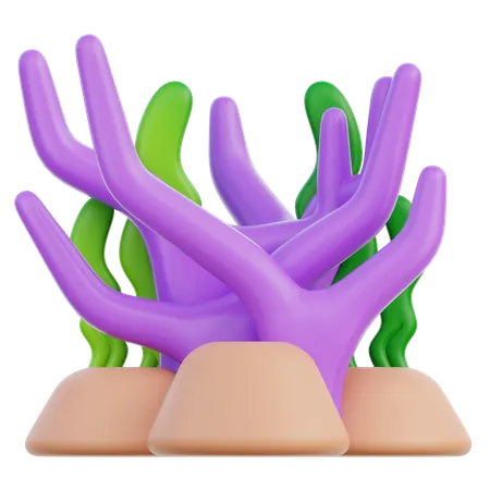 サンゴ礁  3D Icon