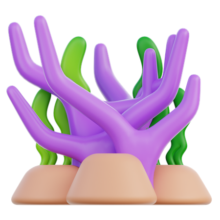 Coral Reef  3D Icon