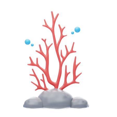 Coral Reefs  3D Icon