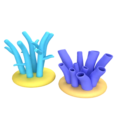 Coral Reefs  3D Icon