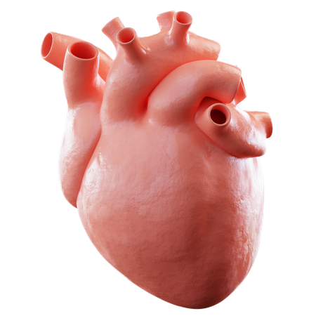 Corazón  3D Icon