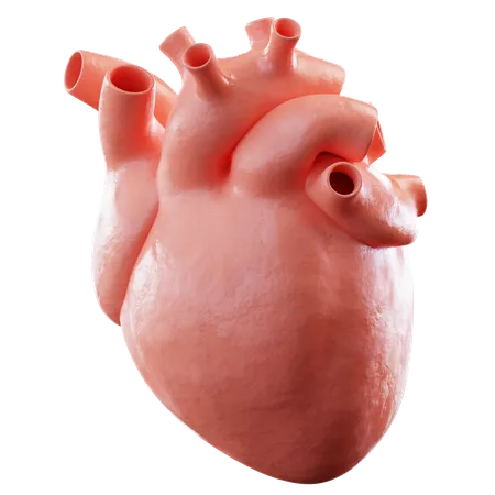 Corazón  3D Icon