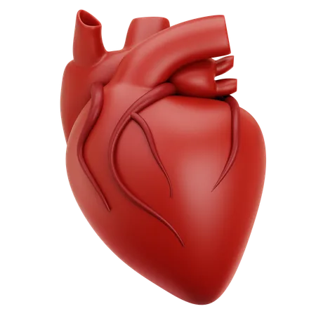 Corazón  3D Icon