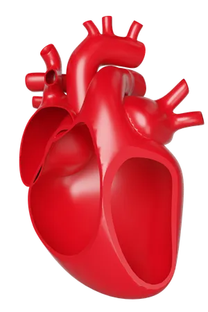 Corazón  3D Icon