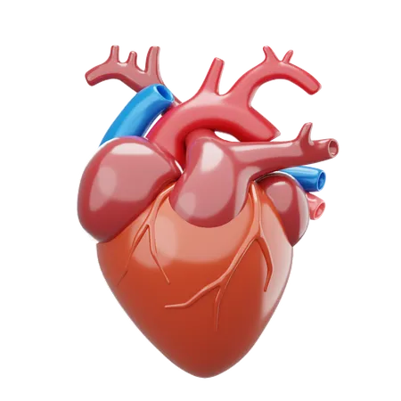 Corazón  3D Icon