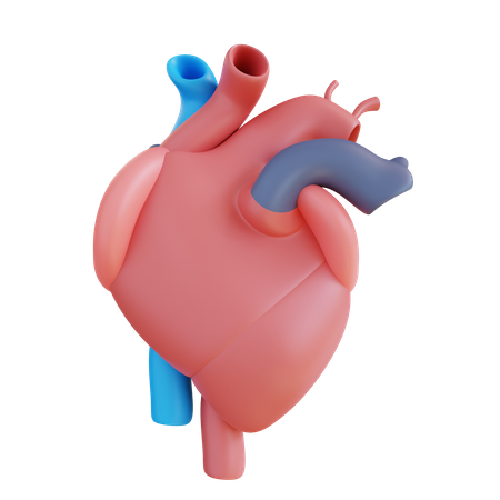 Corazón  3D Icon