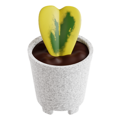 Planta de hoya corazón  3D Icon