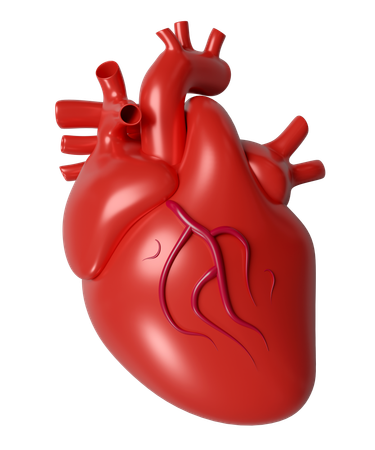 Corazón humano  3D Icon