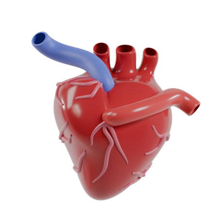 Corazón humano  3D Icon