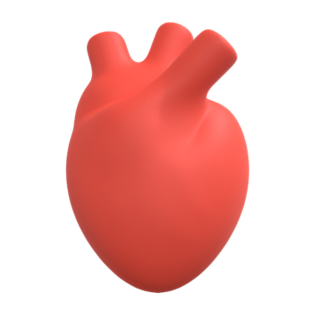 Corazón humano  3D Illustration