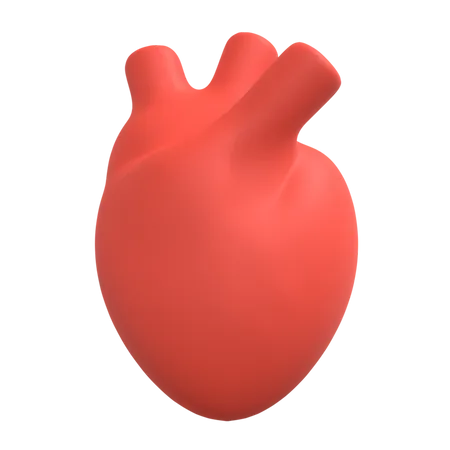 Corazón humano  3D Illustration